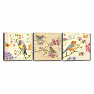 Sada 3 obrazov Tablo Center Birds