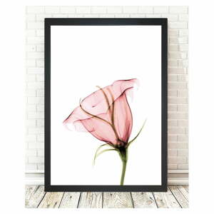 Obraz 24x29 cm Misty Bloom – Vavien Artwork