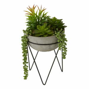 Umelý sukulent (výška  36 cm) Fiori – Premier Housewares