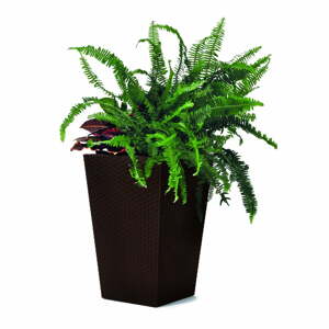 Plastový obal na kvetináč Rattan – Keter