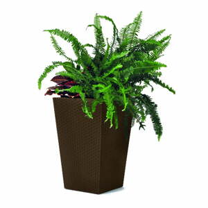 Plastový obal na kvetináč Rattan – Keter