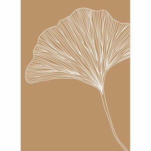Plagát 29x41 cm Gingko – Veronika Boulová