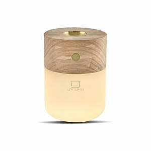 Elektrický difuzér Smart – Gingko