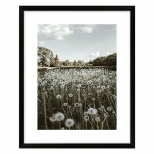 Obraz 40x50 cm Meadow – knor