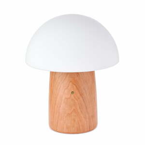Stmievateľná stolová lampa v prírodnej farbe so skleneným tienidlom (výška 32 cm) Alice - Gingko