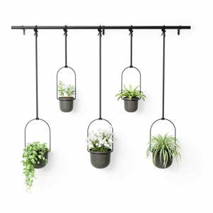 Plastové obaly na kvetináče v súprave 5 ks  na bylinky/závesné a nástenné  ø 7,5 cm Triflora – Umbra