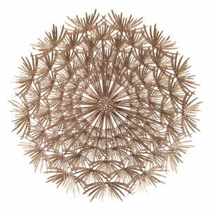 Plastové prestieranie 6 ks ø 38 cm Dandelion – VDE Tivoli 1996