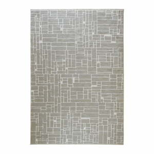Sivo-béžový koberec 80x150 cm Jaipur – Webtappeti