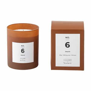 Vonná  sviečka doba horenia 50 h No. 6 Sequoia – ILLUME x Bloomingville