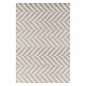 Svetlosivý koberec 80x150 cm Muse – Asiatic Carpets
