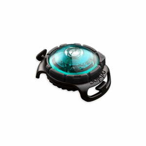 LED svetlo na obojok Turquoise – Orbiloc
