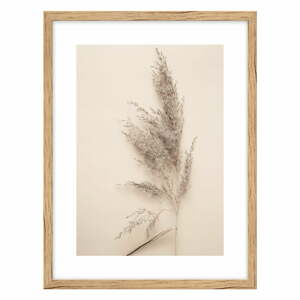 Obraz 30x40 cm Grass – knor