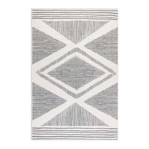 Krémovo-sivý vonkajší koberec 200x290 cm Gemini – Elle Decoration
