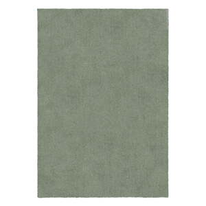 Zelený umývateľný koberec z recyklovaných vlákien 120x170 cm Fluffy – Flair Rugs