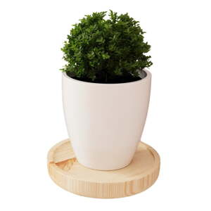 Police z borovicového dreva v prírodnej farbe 12 cm Zyd – Kalune Design