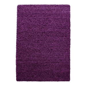 Tmavofialový koberec 140x200 cm Life – Ayyildiz Carpets
