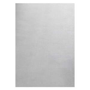 Svetlosivý prateľný koberec 80x150 cm Sky – Ayyildiz Carpets