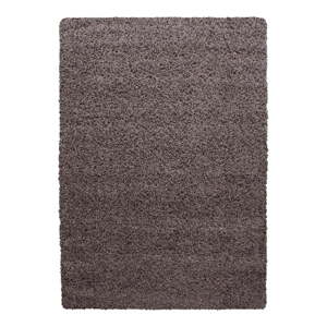 Hnedý koberec 80x150 cm Life – Ayyildiz Carpets