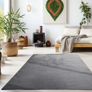 Sivý prateľný koberec 80x150 cm Sky – Ayyildiz Carpets