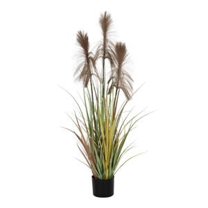 Umelá rastlina (výška 120 cm) – Ixia