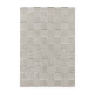 Svetlosivý koberec 120x170 cm Elio Silver – Think Rugs