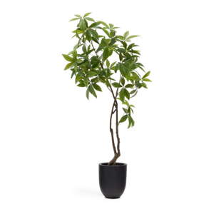 Umelá rastlina (výška 180 cm) Pachira – Kave Home