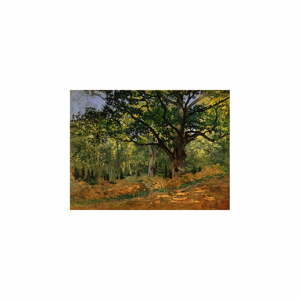 Reprodukcia obrazu Claude Monet - The Bodmer Oak, Fontainebleau Forest, 70 × 50 cm