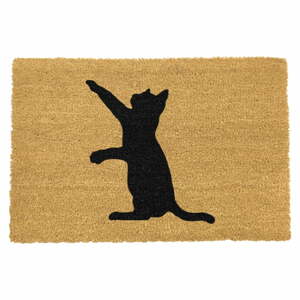 Rohožka z kokosového vlákna 40x60 cm Cat – Artsy Doormats