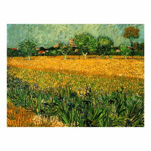Reprodukcia obrazu Vincenta van Gogha - View of arles with irisos in the foreground, 40 × 30 cm